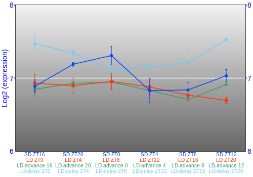 Expression graph