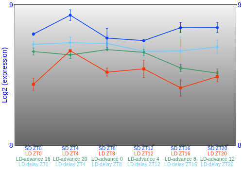 Expression graph