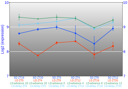 Expression graph