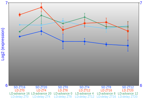 Expression graph