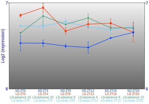 Expression graph