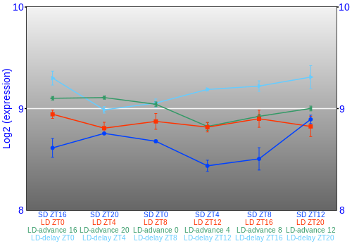 Expression graph