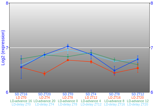 Expression graph