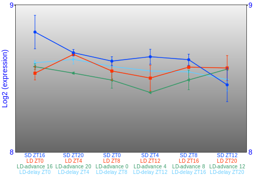 Expression graph