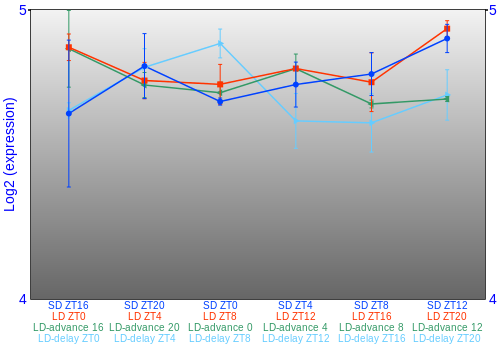 Expression graph