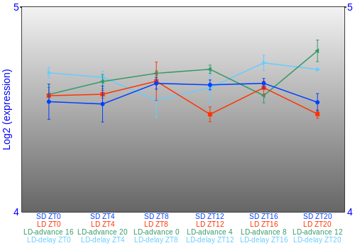 Expression graph