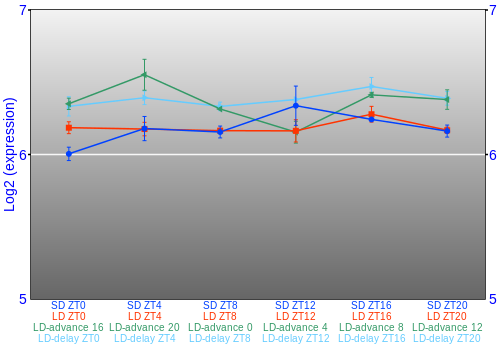Expression graph