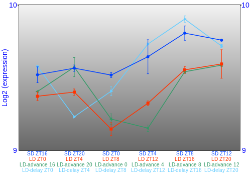 Expression graph