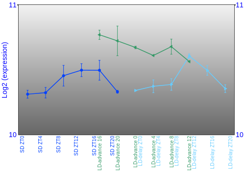 Expression graph