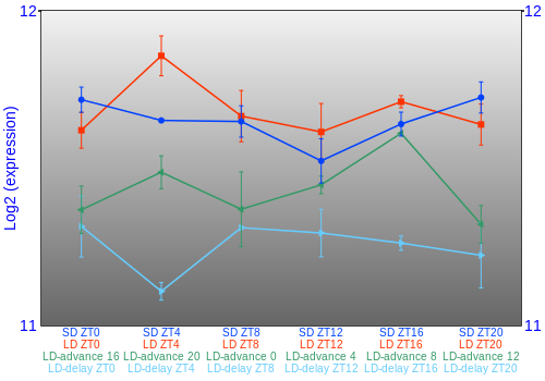 Expression graph