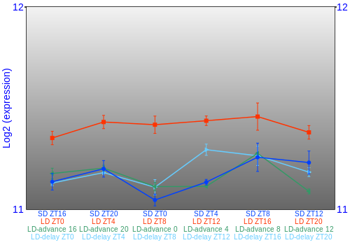 Expression graph