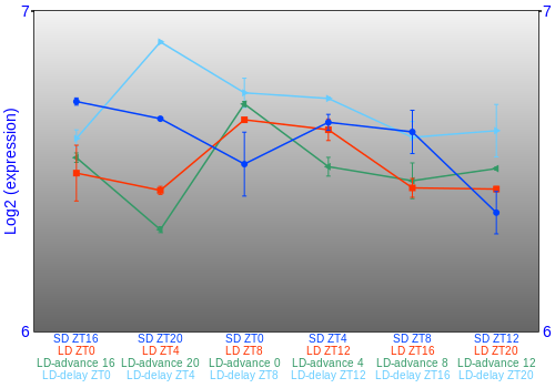 Expression graph