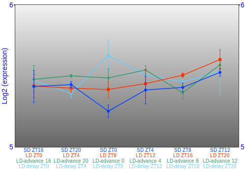 Expression graph