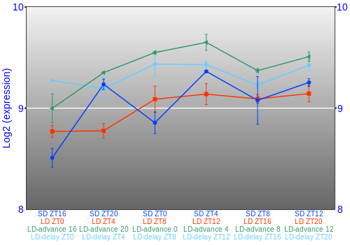 Expression graph