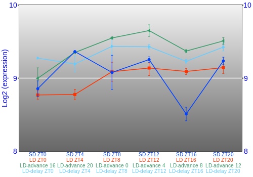 Expression graph