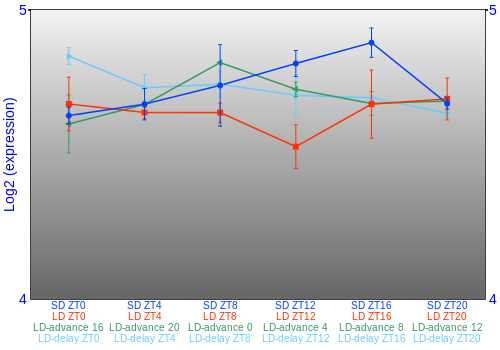Expression graph