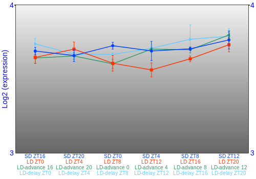 Expression graph