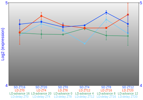 Expression graph