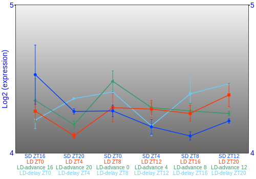Expression graph