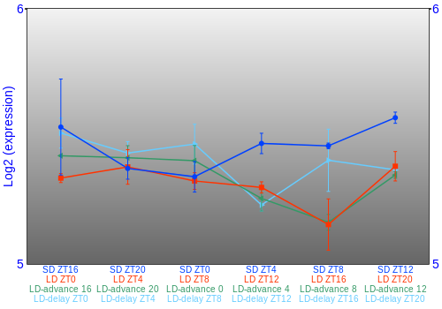 Expression graph