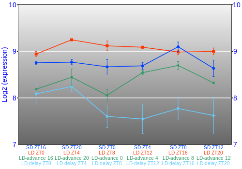 Expression graph