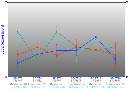 Expression graph