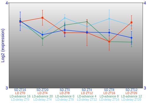 Expression graph