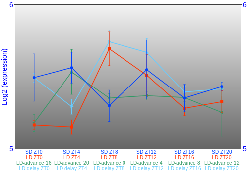 Expression graph