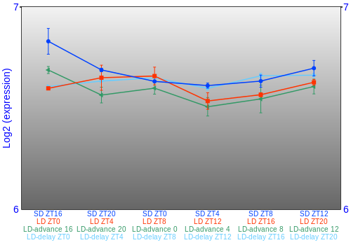 Expression graph