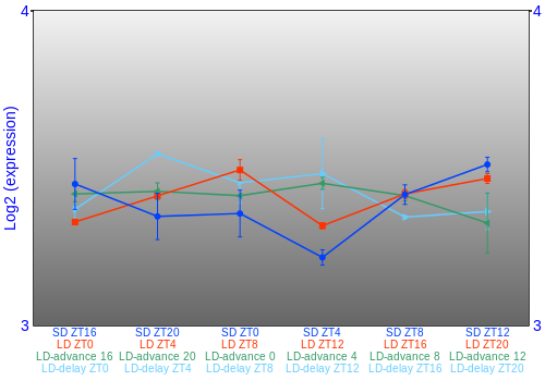 Expression graph