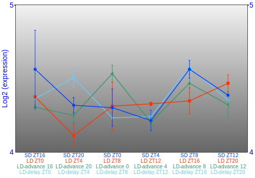 Expression graph