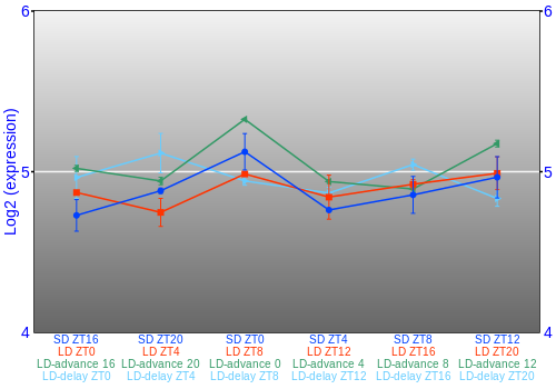 Expression graph