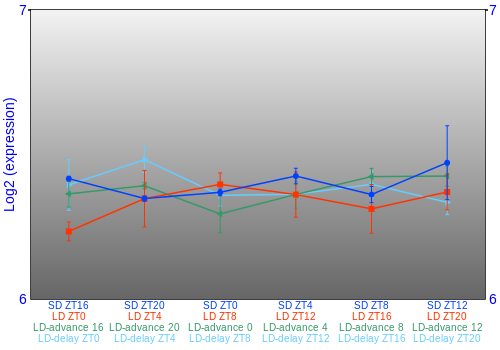 Expression graph