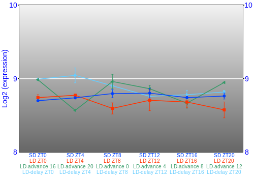 Expression graph