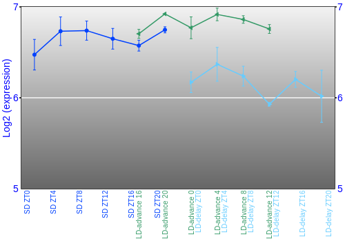 Expression graph