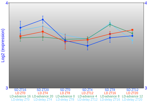 Expression graph