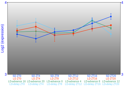 Expression graph