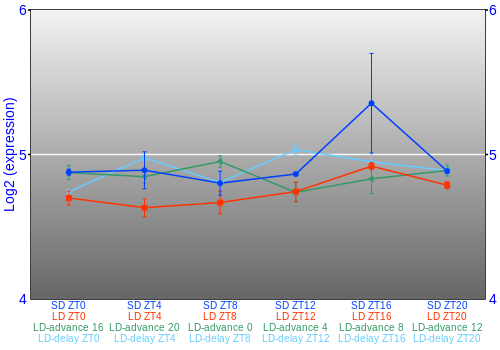 Expression graph
