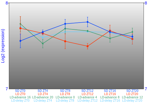 Expression graph