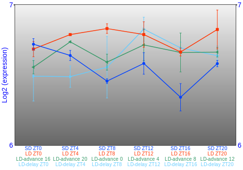 Expression graph