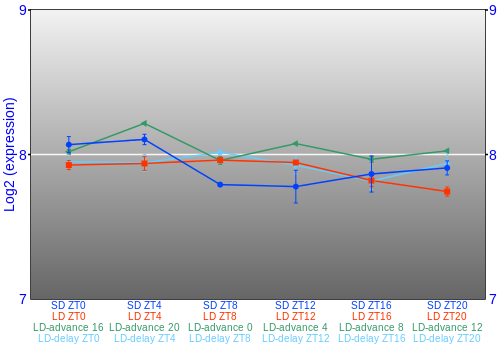 Expression graph