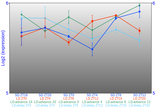 Expression graph