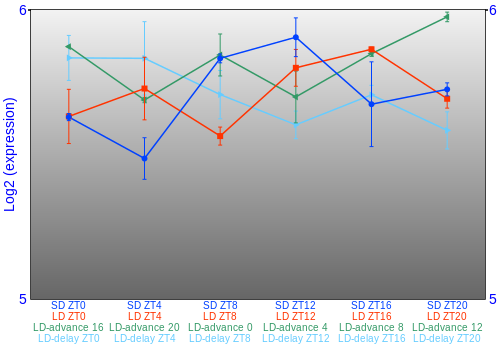 Expression graph