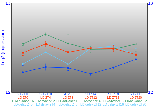 Expression graph