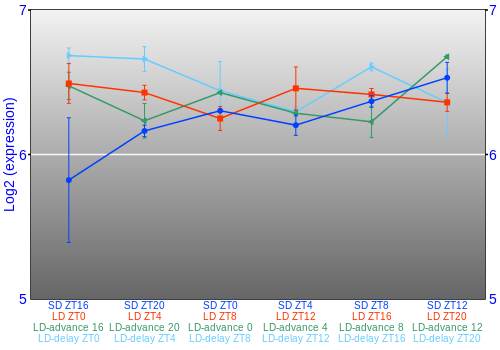 Expression graph