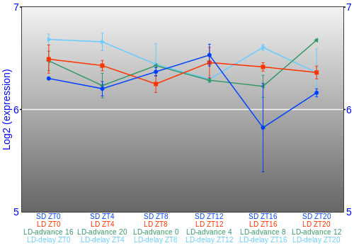 Expression graph