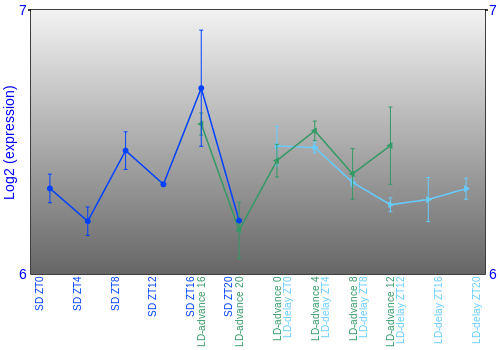 Expression graph