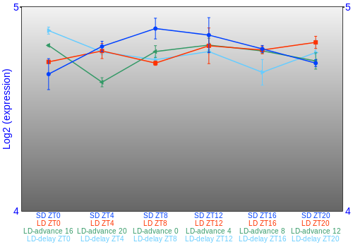 Expression graph