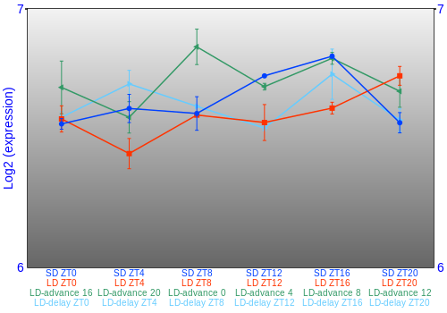 Expression graph