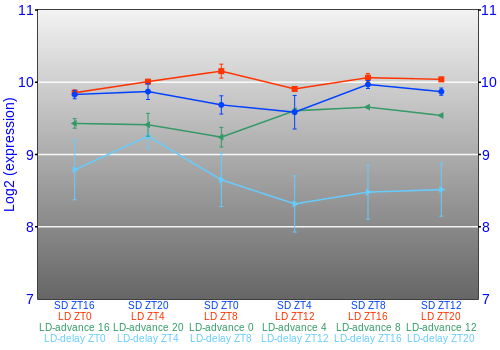 Expression graph